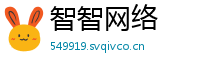 智智网络